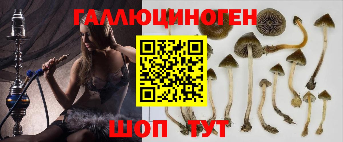 Галлюциногенные грибы мухоморы Тобольск